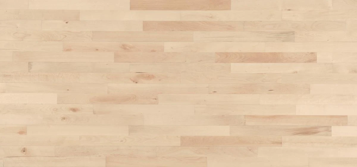 Beech Nordic