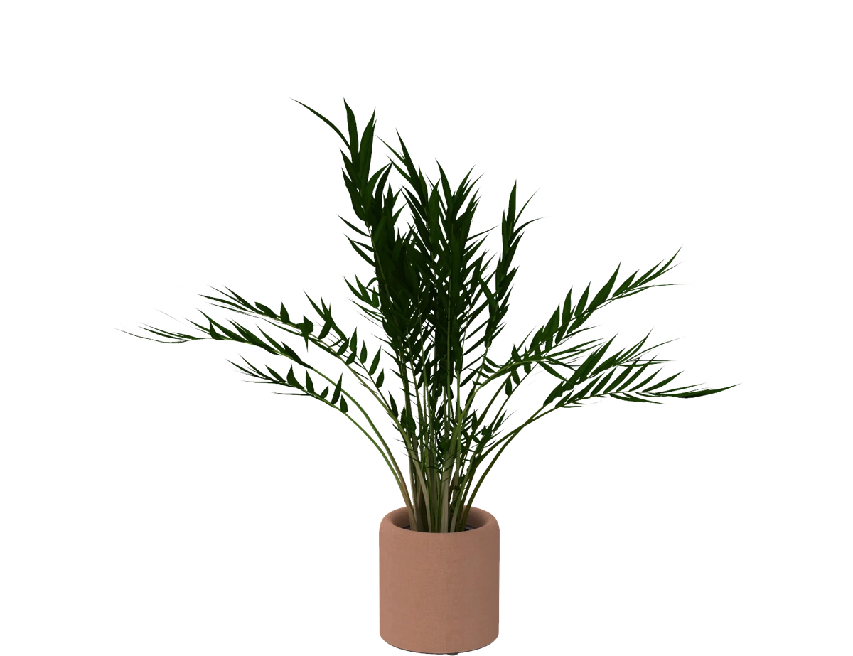 BuzziPlanter