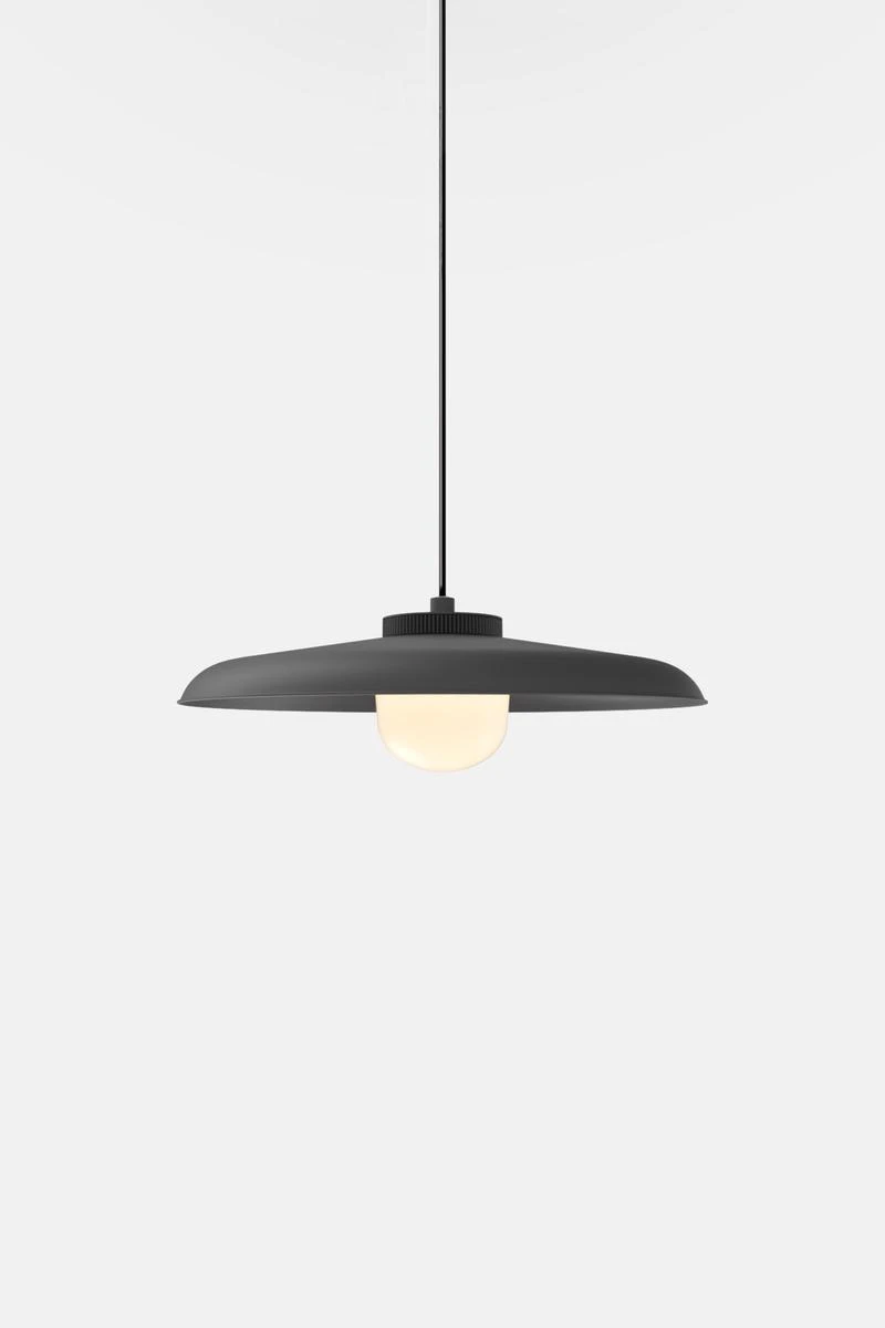 Hoist Pendant