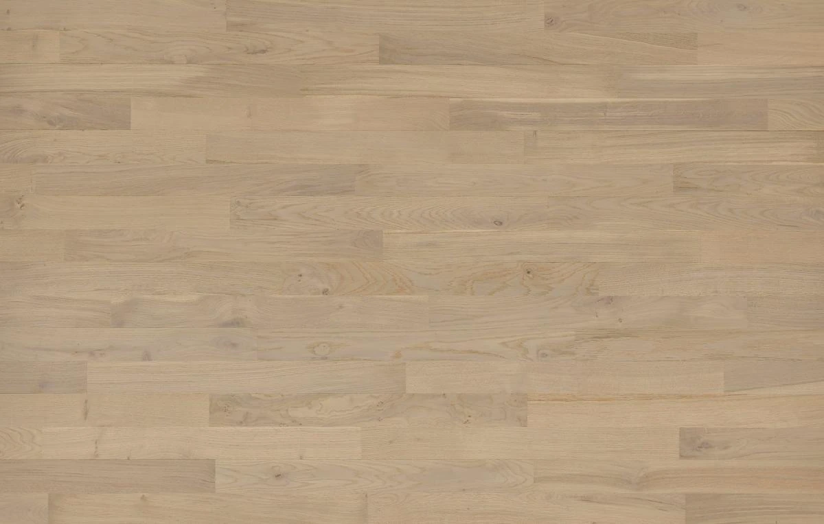 Oak Golden Pearl