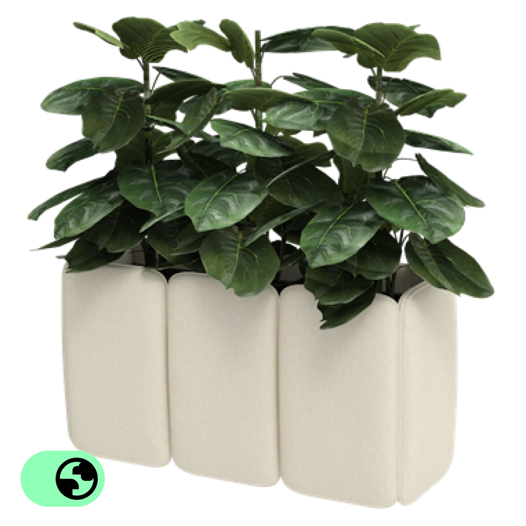 BuzziChicle Planter